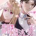 逃妻 逃妻