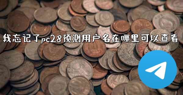 我忘记了pc28预测用户名在哪里可以查看