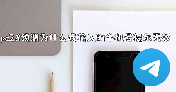 pc28预测为什么我输入的手机号提示无效