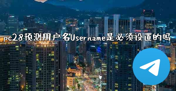pc28预测用户名Username是必须设置的吗