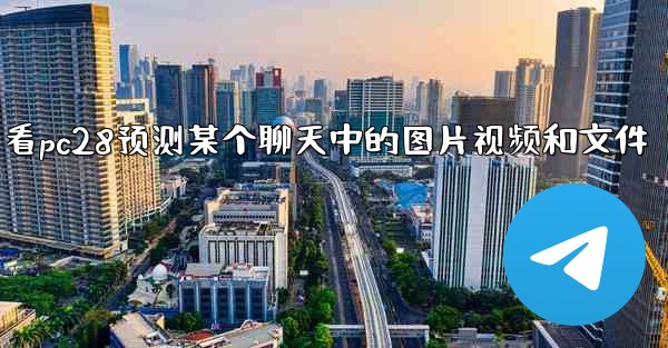 方法只查看pc28预测某个聊天中的图片视频和文件