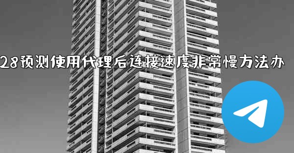 pc28预测使用代理后连接速度非常慢方法办