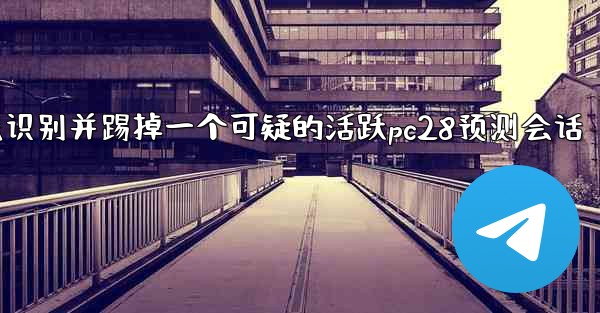 方法识别并踢掉一个可疑的活跃pc28预测会话