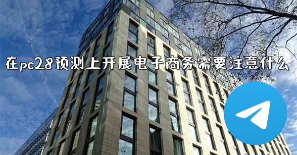 在pc28预测上开展电子商务需要注意什么