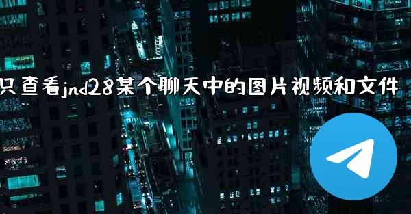 方法只查看jnd28某个聊天中的图片视频和文件