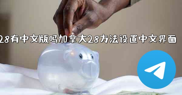 加拿大28有中文版吗加拿大28方法设置中文界面