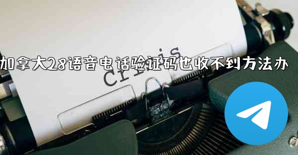 <b>加拿大28语音电话验证码也收不到方法办</b>