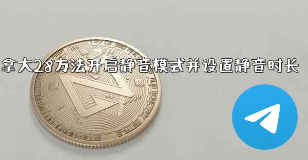 加拿大28方法开启静音模式并设置静音时长