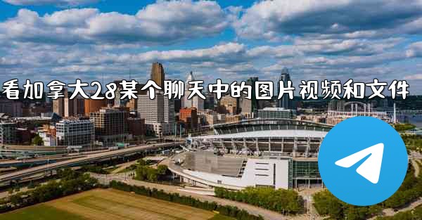 方法只查看加拿大28某个聊天中的图片视频和文件