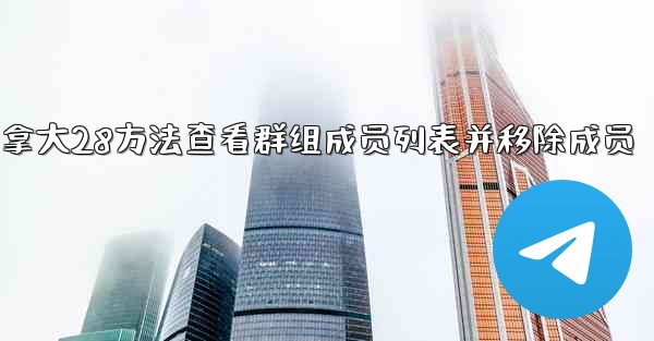 <b>加拿大28方法查看群组成员列表并移除成员</b>