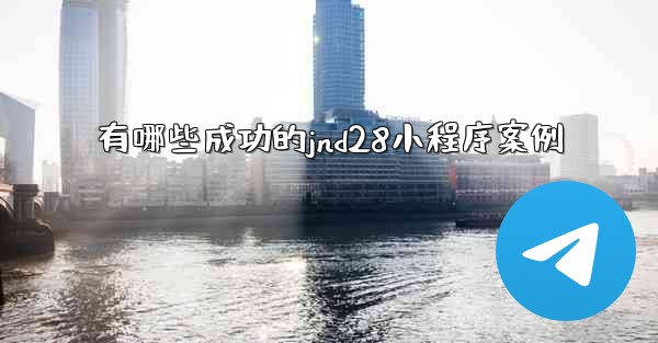 有哪些成功的jnd28小程序案例