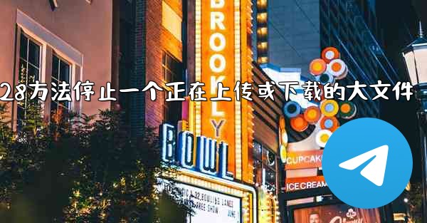 加拿大28方法停止一个正在上传或下载的大文件