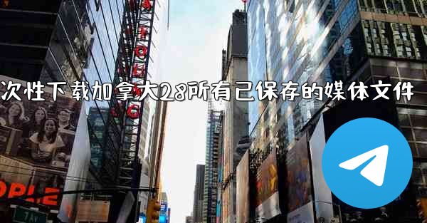 方法一次性下载加拿大28所有已保存的媒体文件