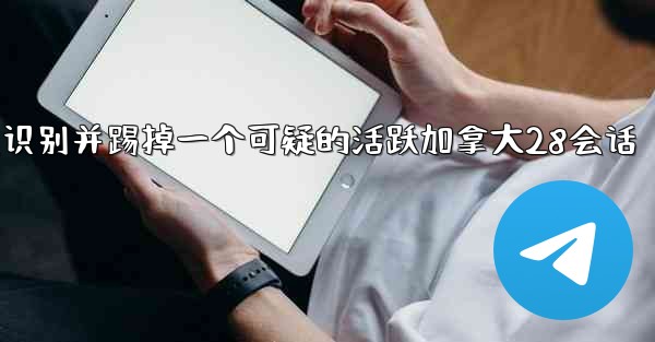 方法识别并踢掉一个可疑的活跃加拿大28会话