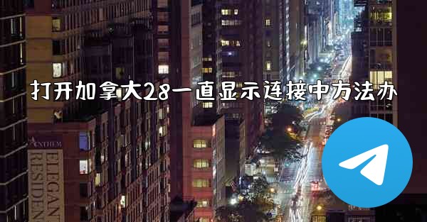 打开加拿大28一直显示连接中方法办