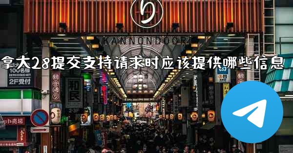 加拿大28提交支持请求时应该提供哪些信息