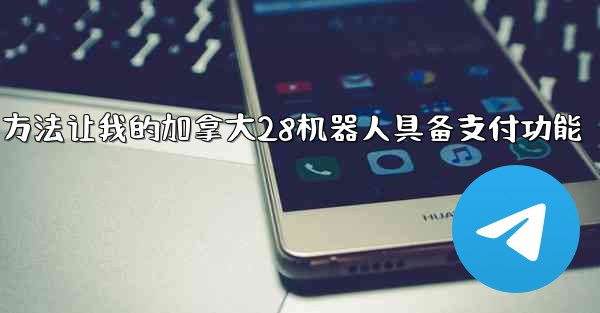 方法让我的加拿大28机器人具备支付功能