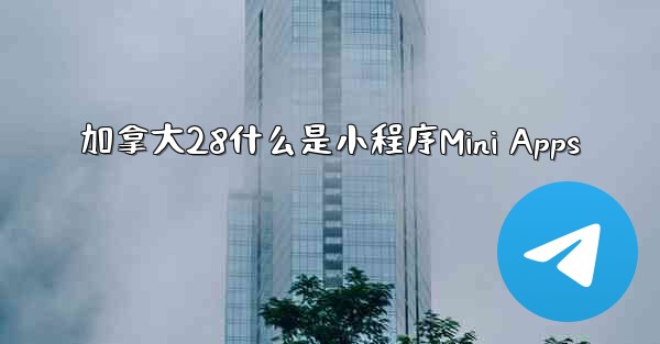 加拿大28什么是小程序Mini Apps