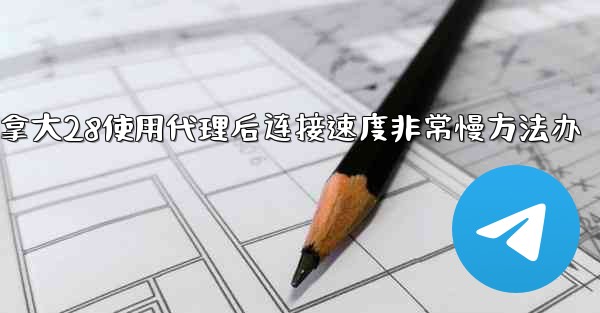 加拿大28使用代理后连接速度非常慢方法办